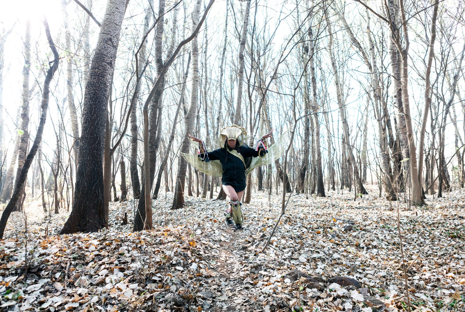 Clint Strydom, ARCHIVE _ Series 5 - Nymph: Dance of the Forest, 2020