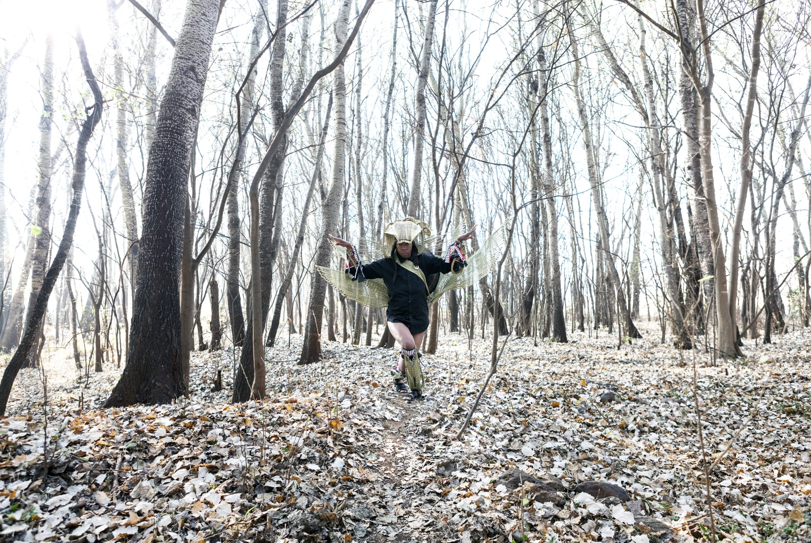 Clint Strydom, Series 5 - Nymph: Dance of the Forest, 2020