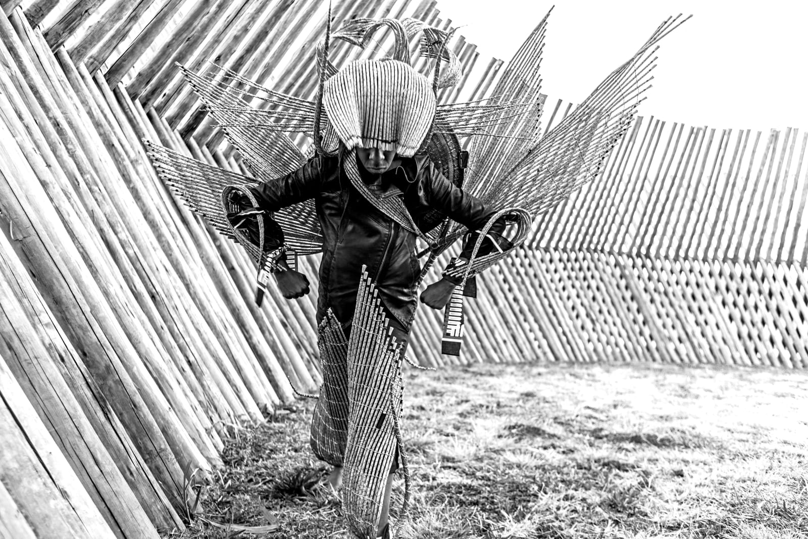 Clint Strydom, Series 1 - Warrior Spirit: Gathering Energy, 2020