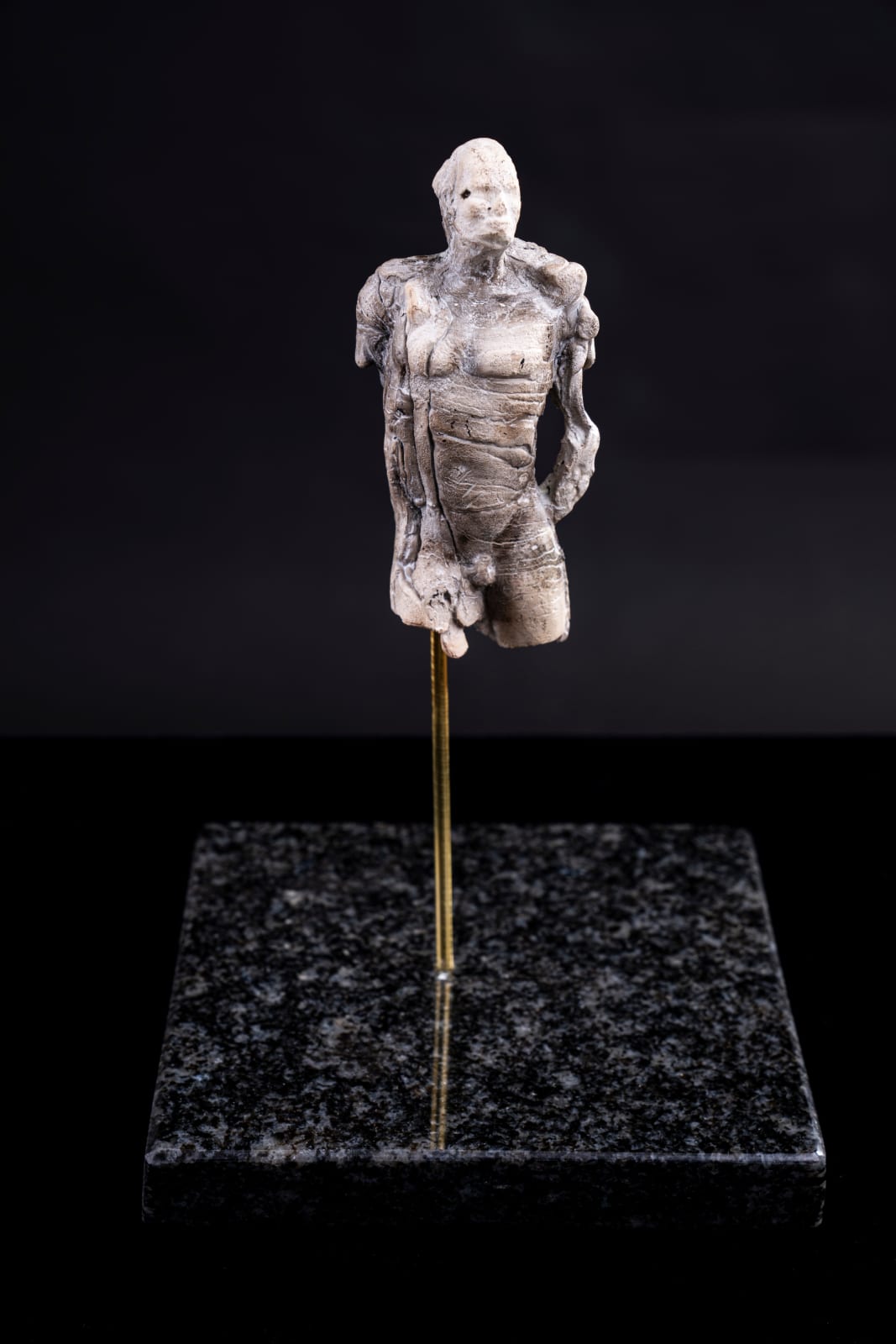 Corne du Plessis, #6, 2023