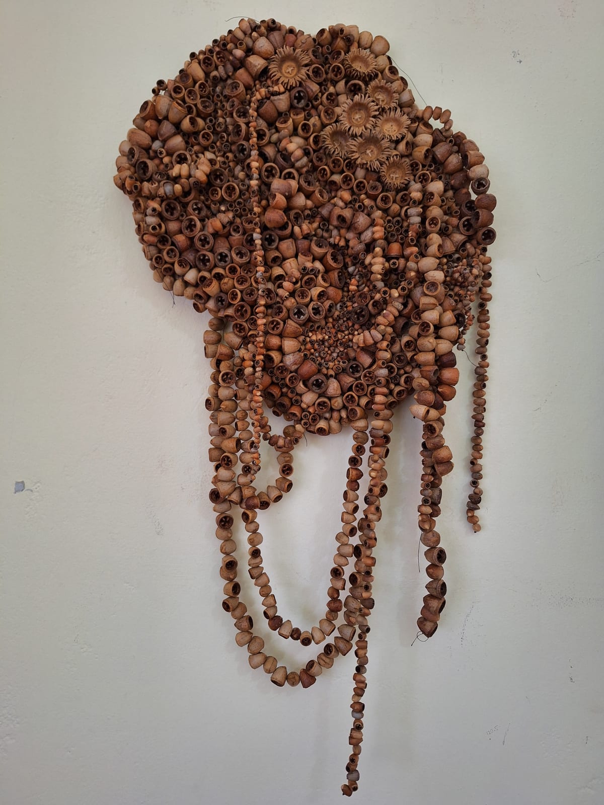 Catriona Towriss, Seeding a Destiny, 2024