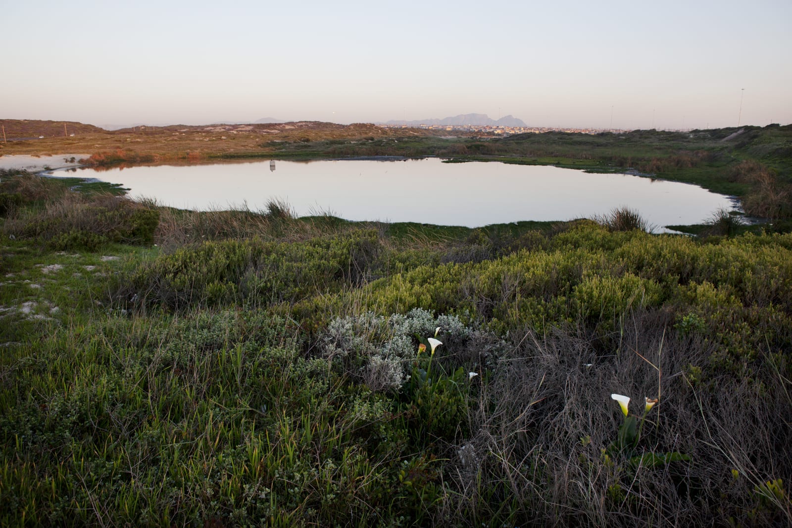 Paul Weinberg, Earthsongs, 2019 - 2021
