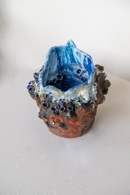 Karin Lijnes, Little Big Barnacle, 2023