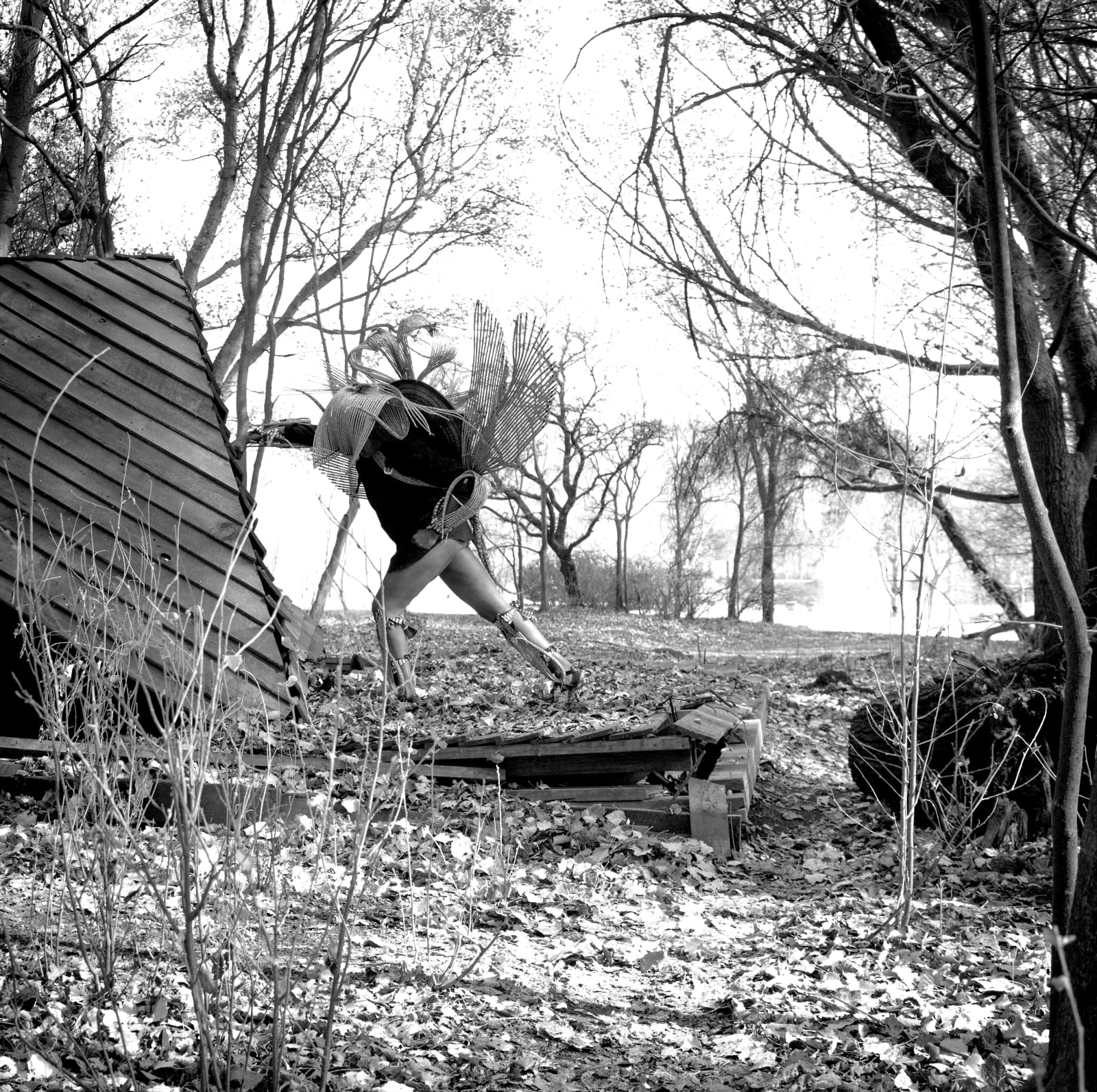 Clint Strydom, ARCHIVE _ Series 4 - Homage to the Eagle: Strike, 2020