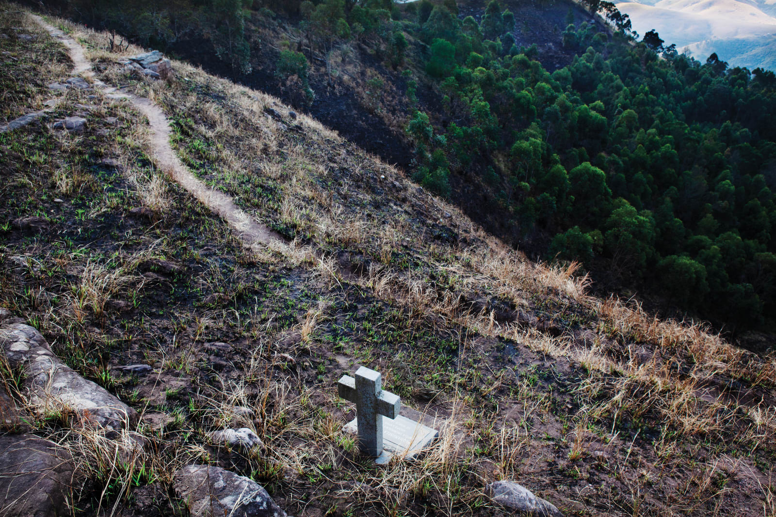 Paul Weinberg, Earthsongs, 2019 - 2021