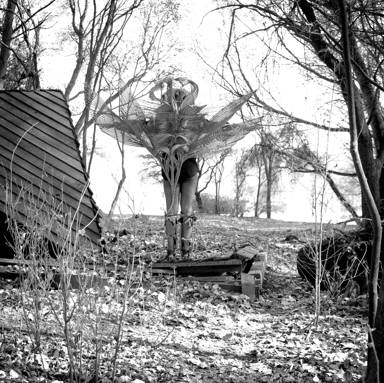 Clint Strydom, ARCHIVE _ Series 4 - Homage to the Eagle: Eagle Homage, 2020