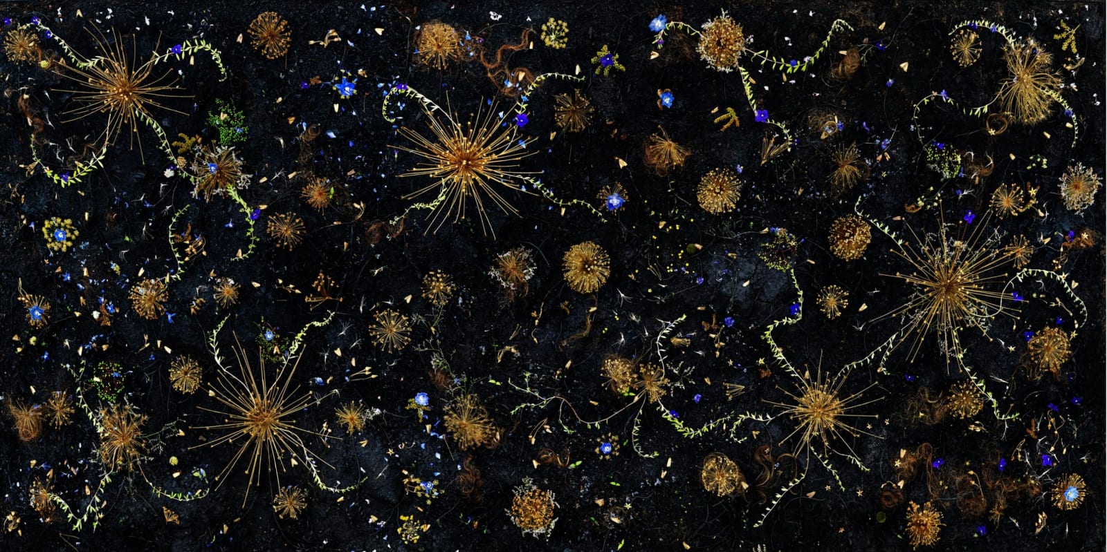 Tanya Marcuse, No 1 Book of Miracles (Part I Kingdom), 2020