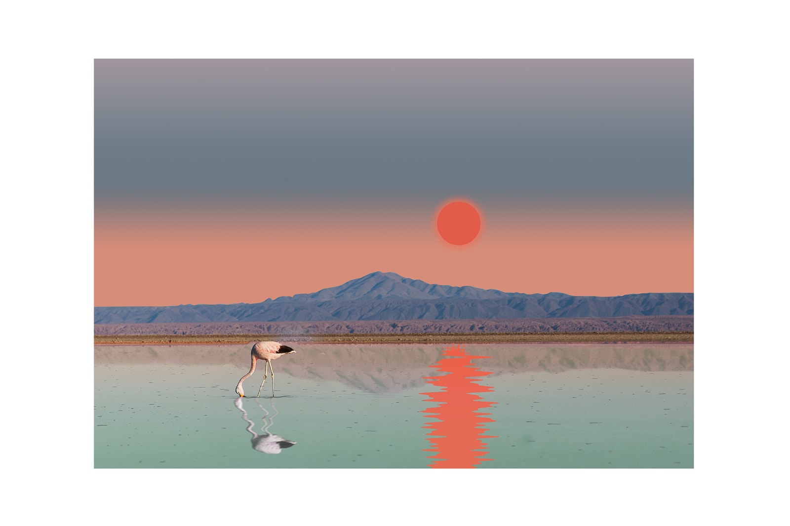 'Pale Dot, The Impression' by Fei Alexeli