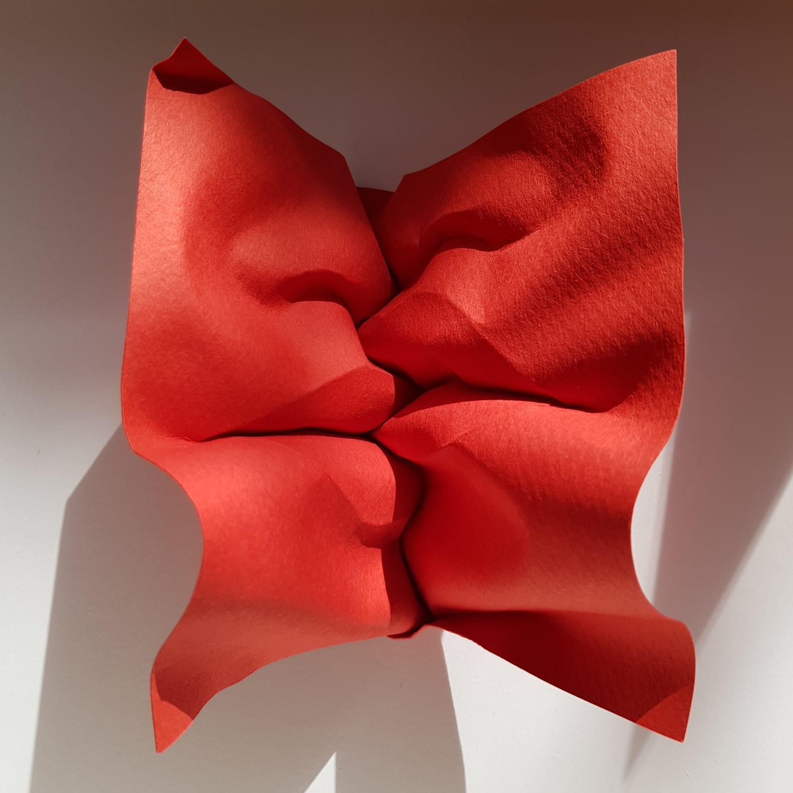Polly Verity, Entwined, 2022