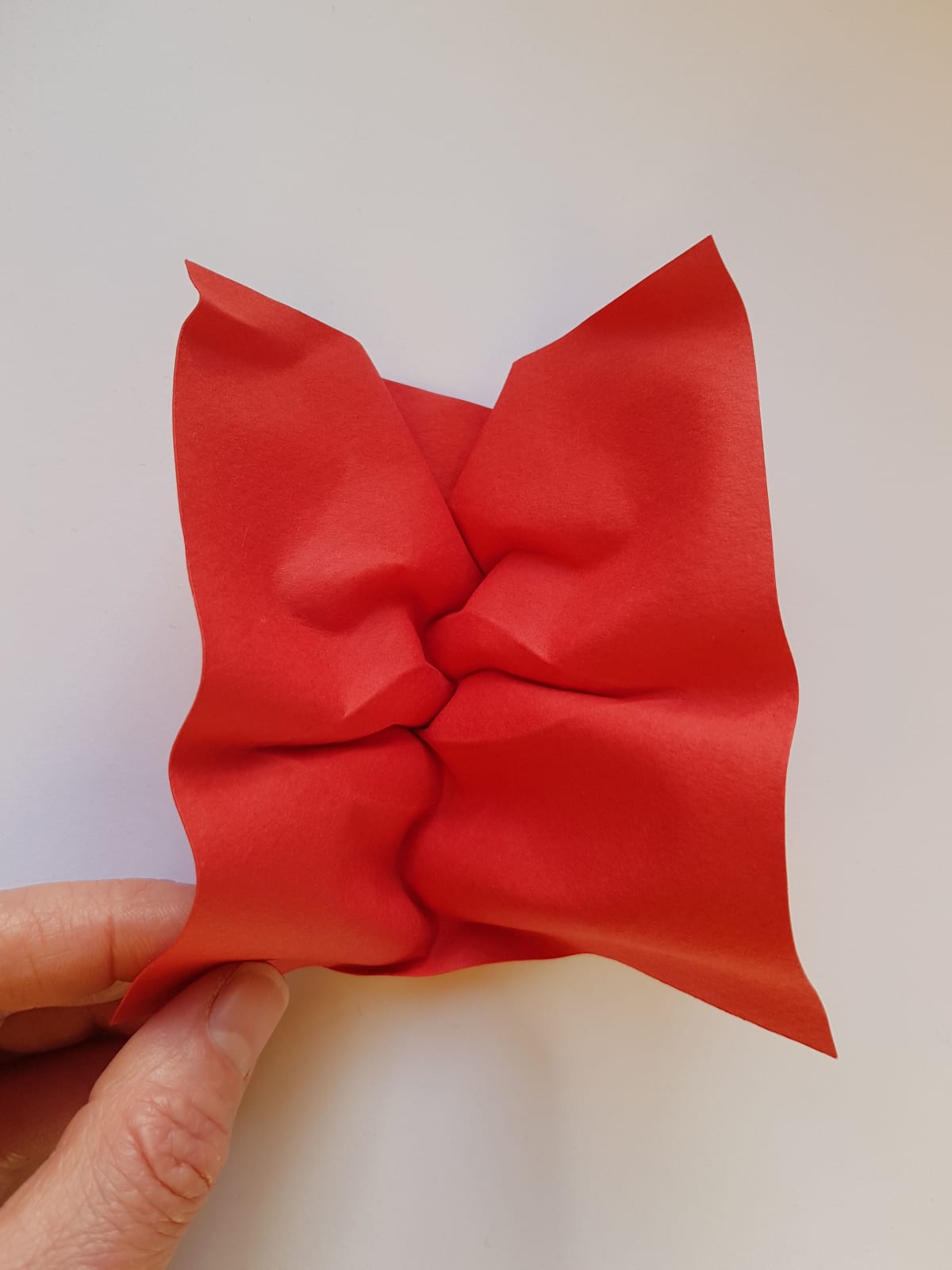 Polly Verity, Enfolded, 2022