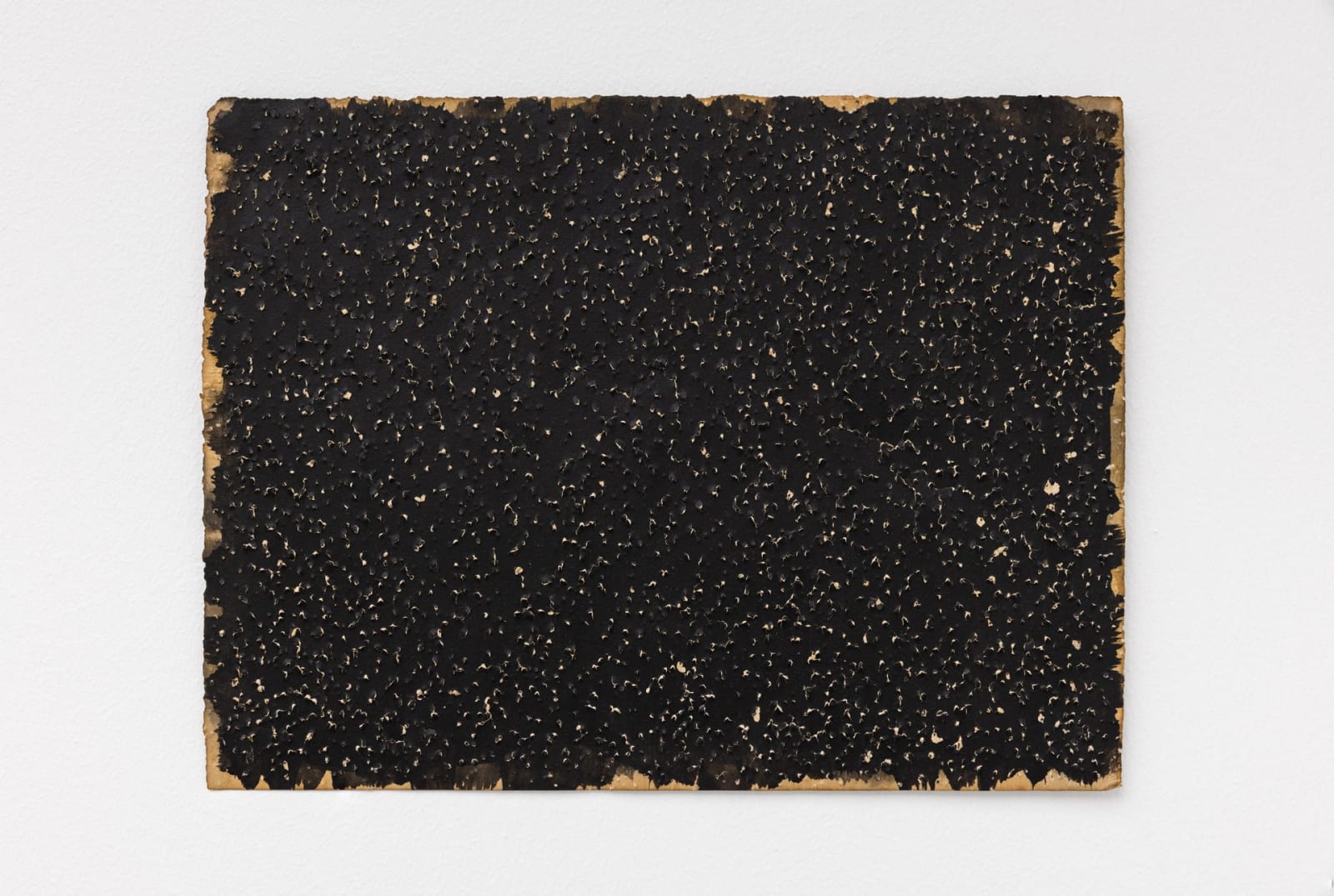 Choi Myoung Young, Conditional Planes 18-215, 2018