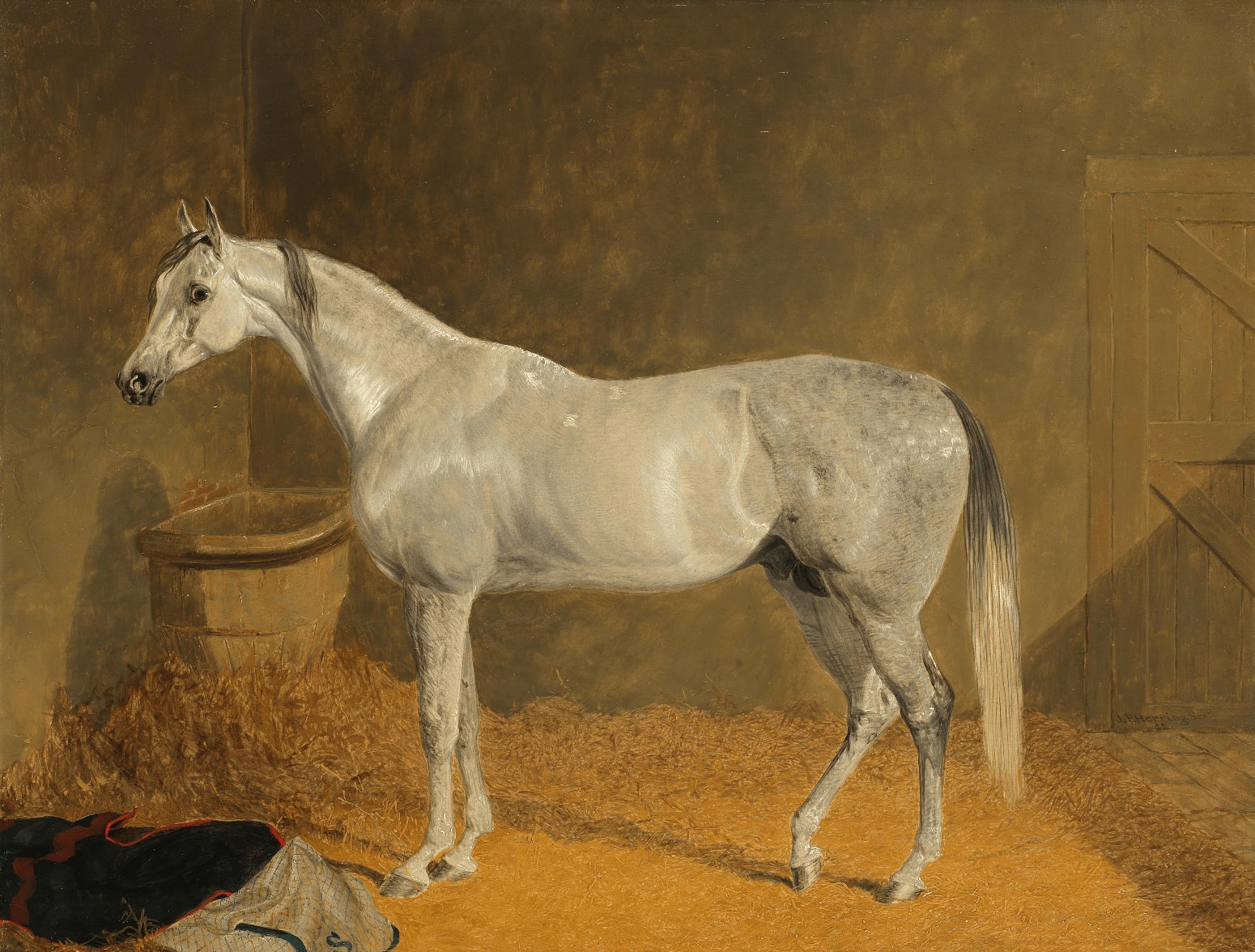 John Frederick Herring Snr (Surrey 1795-1863 Kent), Nautilus