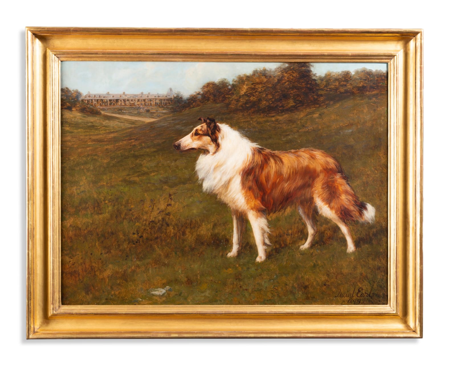 Maud Earl (1863-1943), A collie standing in a landscape, a country house beyond