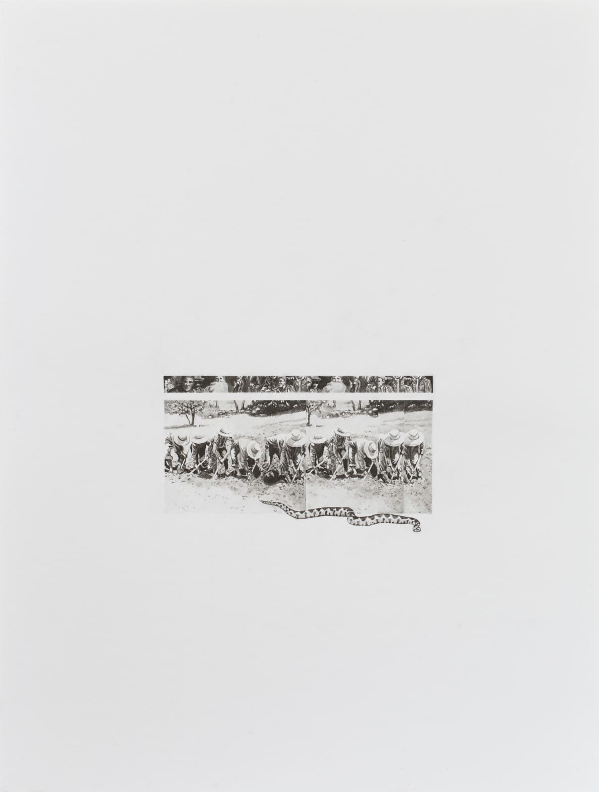 Daniel Otero Torres, Tres serpientes, 2019