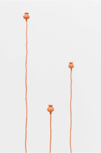 Daniel Otero Torres, Amapolas, 2019
