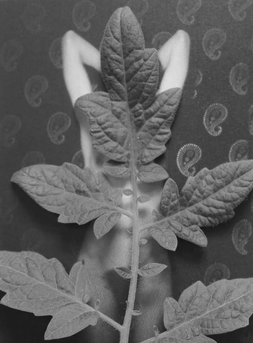 Özlem Altın, Untitled (nude), 2017