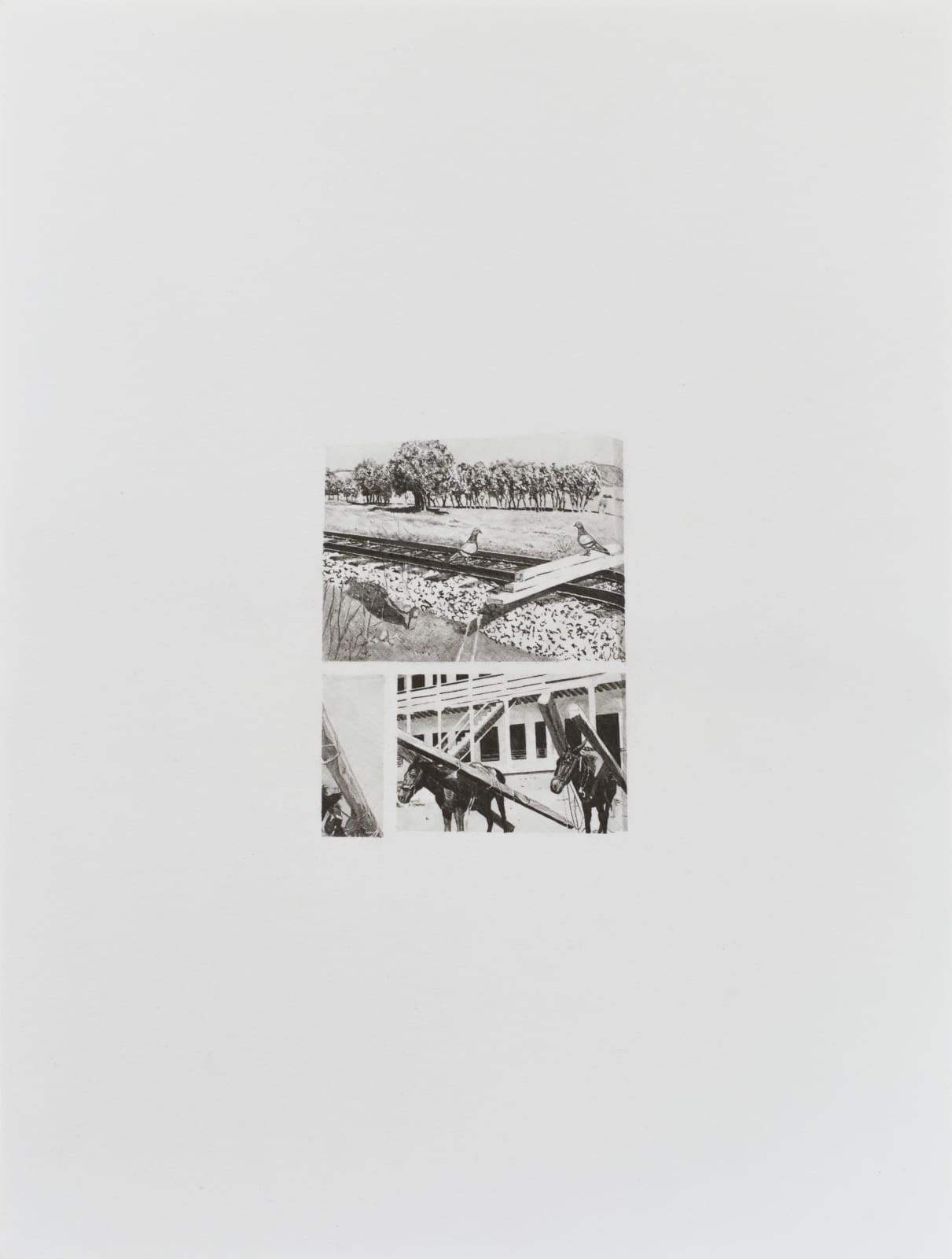Daniel Otero Torres, Transport, 2019