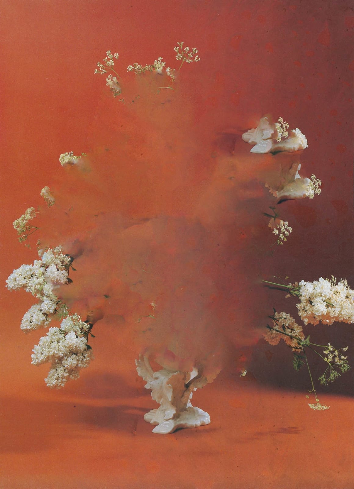 Nico Krijno, The Constellation #011, 2022