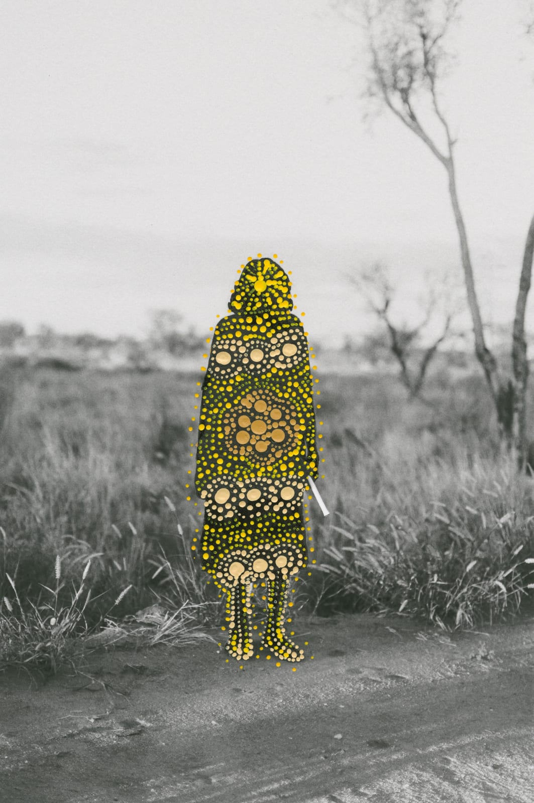 Patrick Waterhouse, Got To Find Him Along The Trail / Restricted with Hilda Nakamarra Rogers, 2014 - 2018