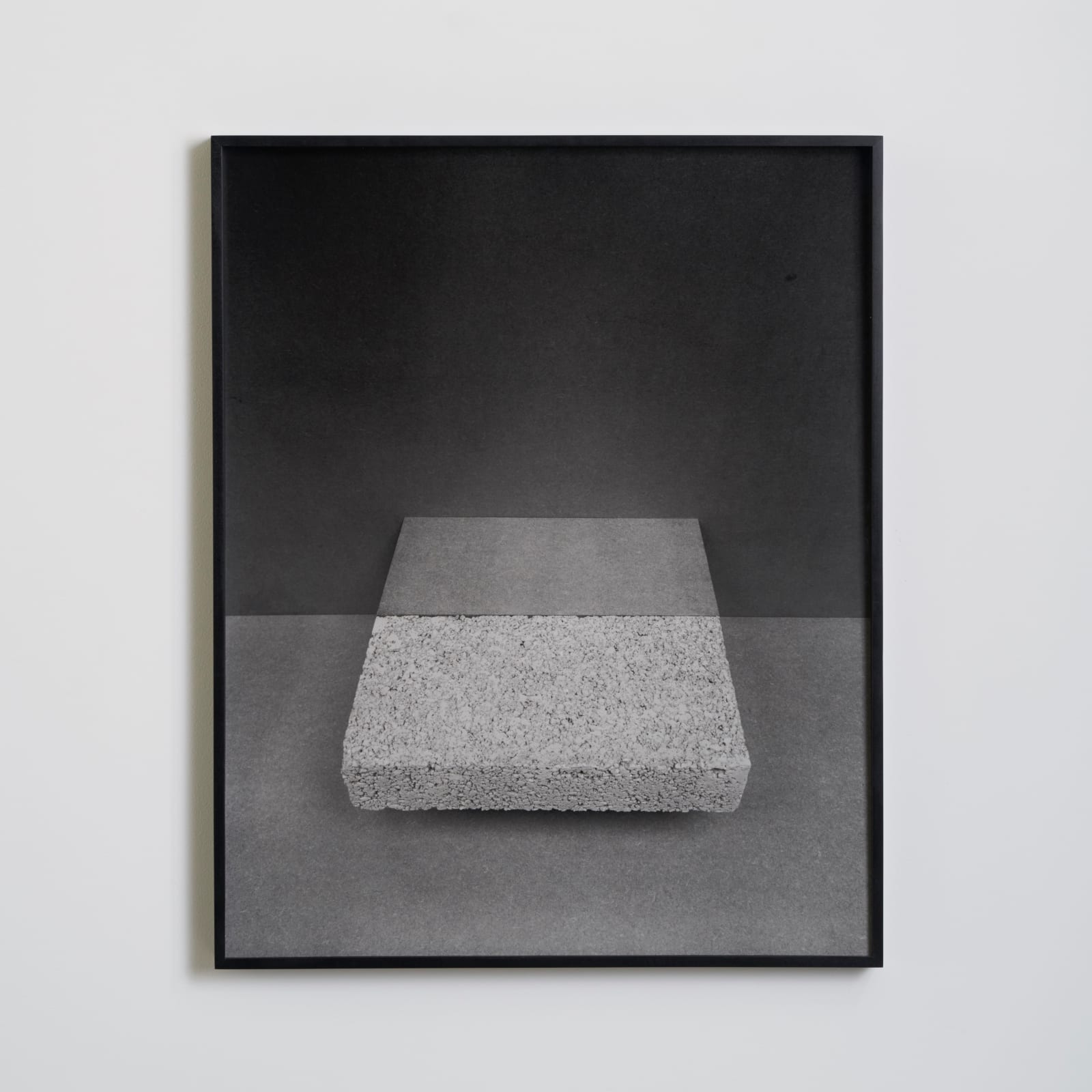 Darren Harvey-Regan, Metalepsis (fig. 12), 2013