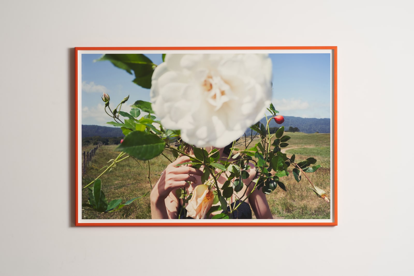 Inez & Vinoodh, Lou and the Rose, 2018