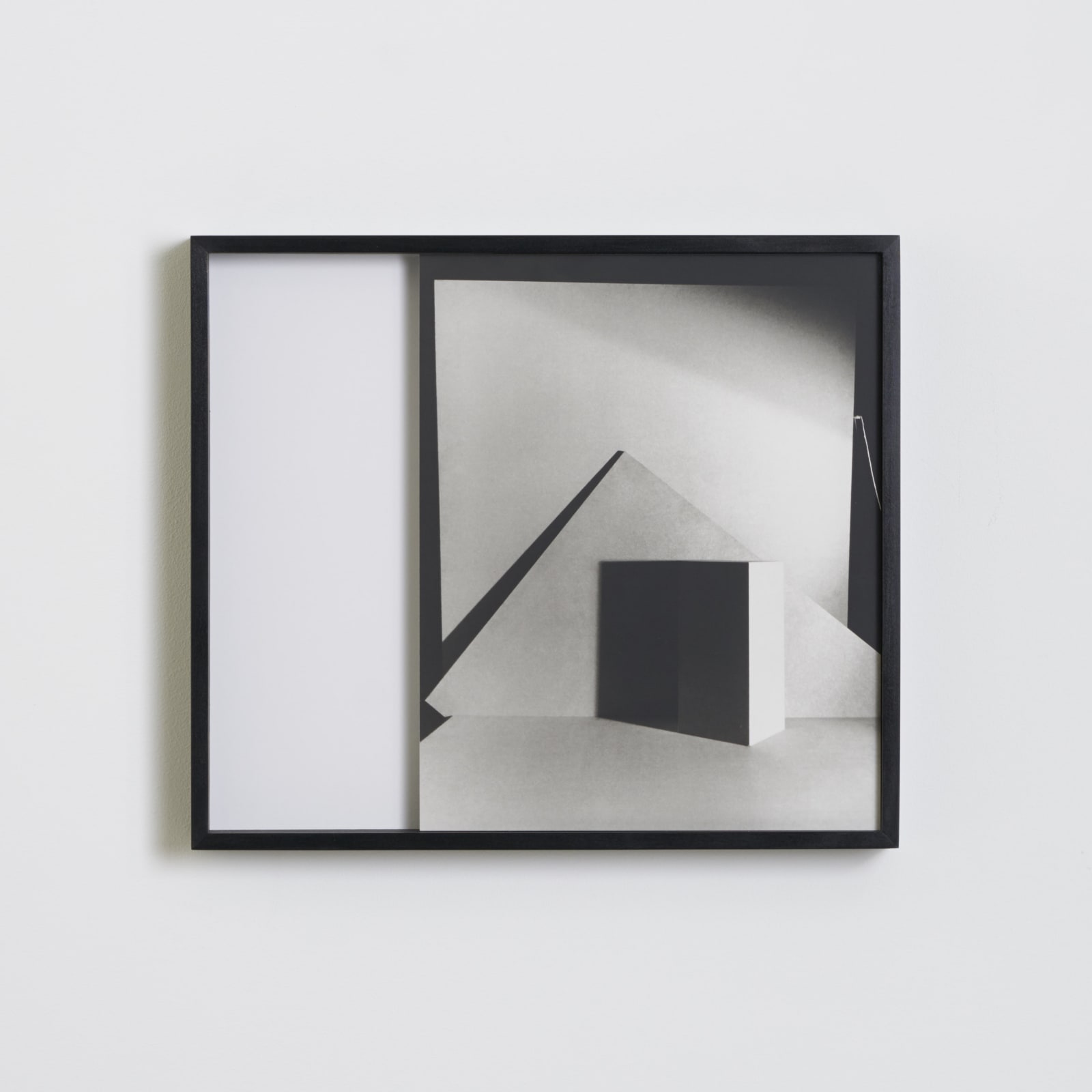 Darren Harvey-Regan, Metalepsis (fig. 2), 2013