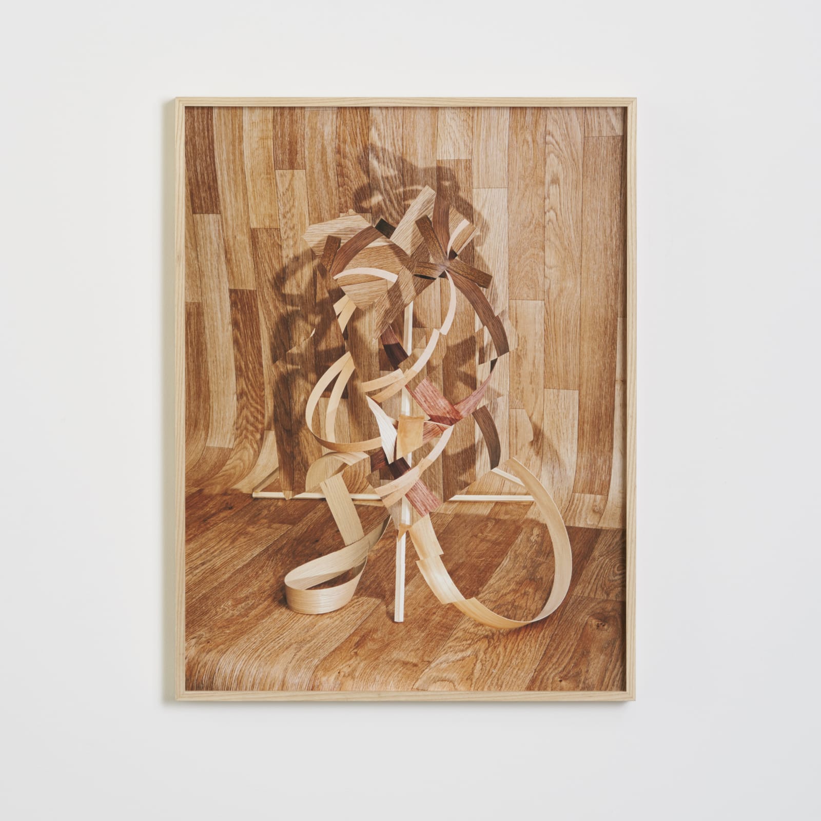 Nico Krijno, Veneer Wood Wood 1 , 2014