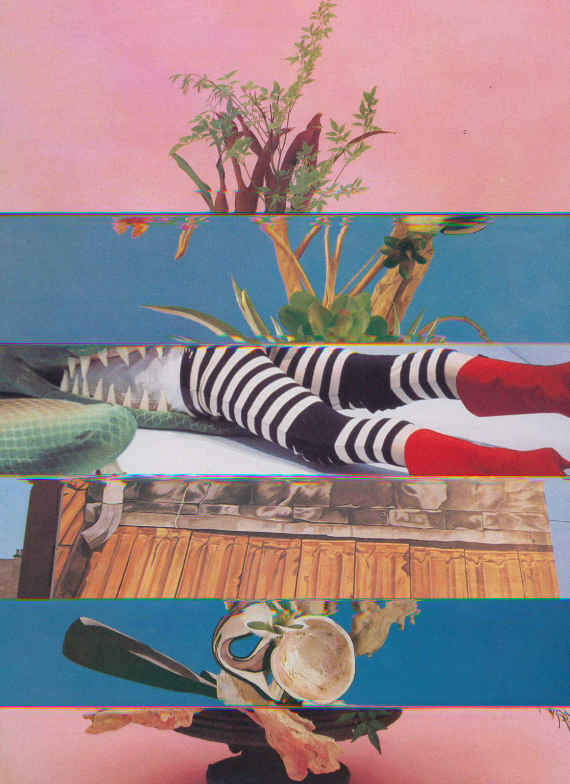 Nico Krijno, Lockdown Collage #71, 2020