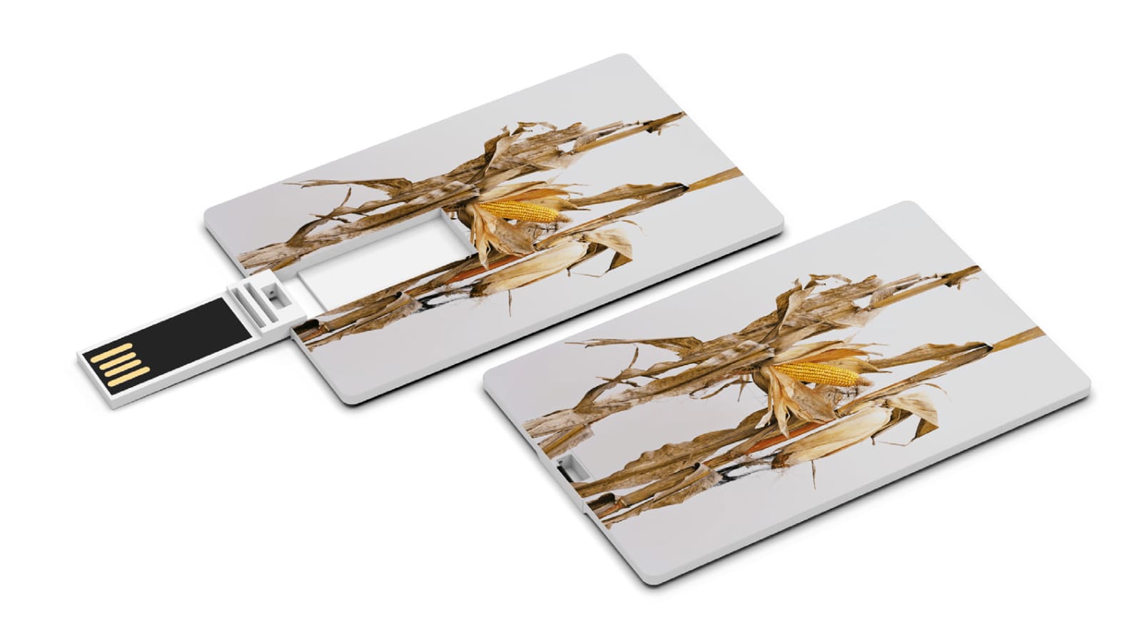 Mathieu Asselin, Monsanto: a photographic investigation, 2021