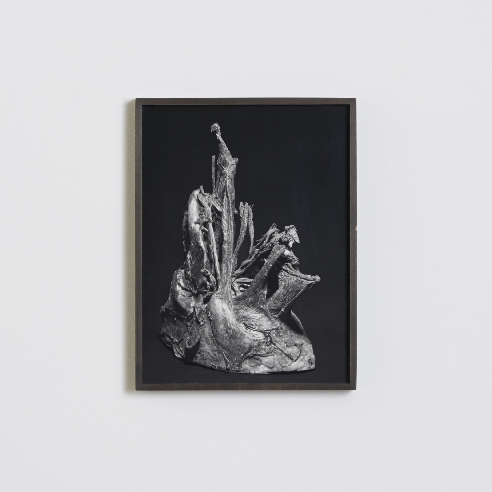 Koen Hauser, Tableau XII, 2015