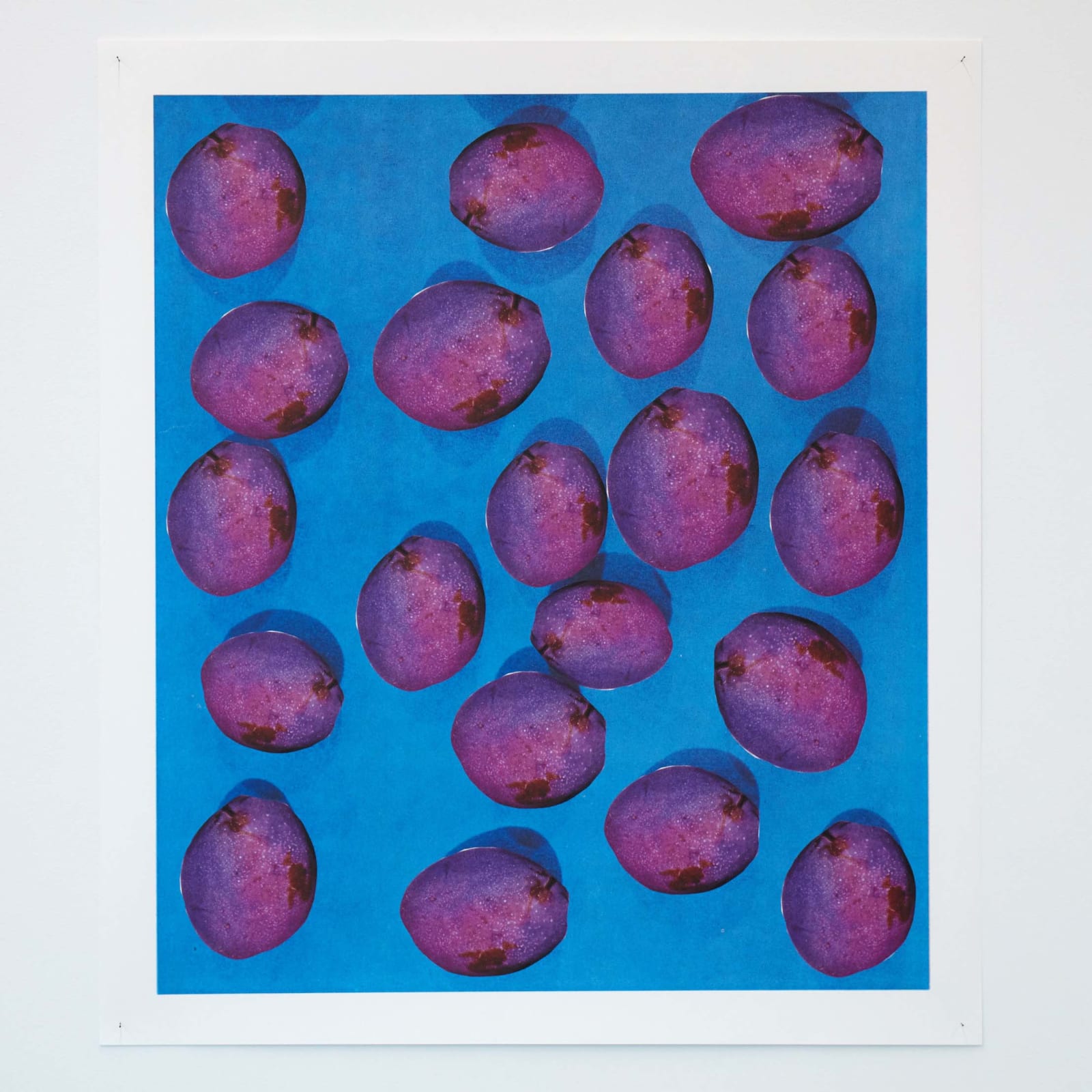 Ruth van Beek, Everbearing Varieties, 2020