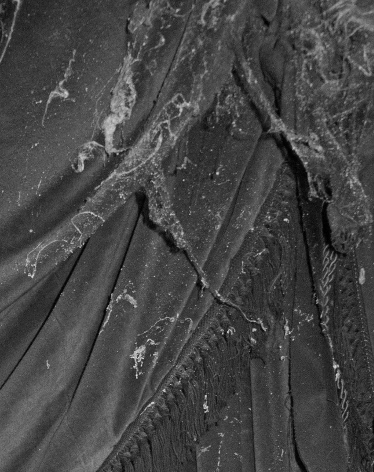 Tereza Zelenkova, Detail III, 2017