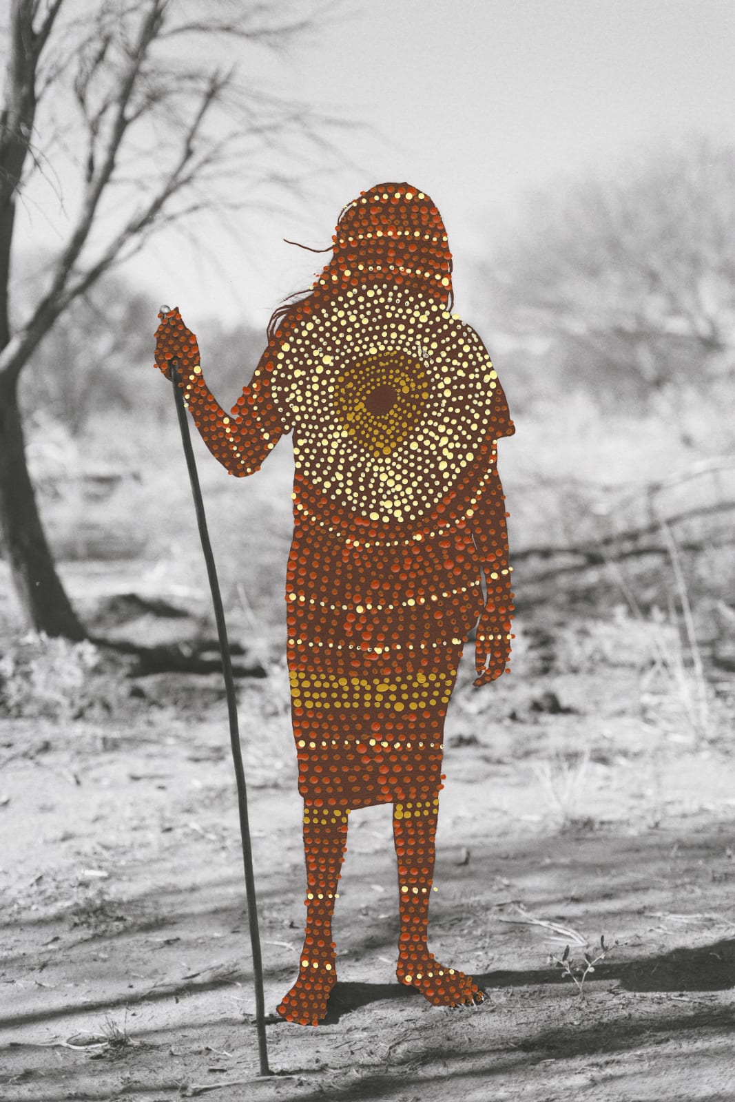 Patrick Waterhouse, Looking for Honey Ants / Restricted with Julie Nangala Robertson, 2014 - 2018