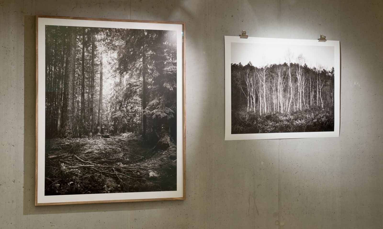 Mark Nettenbreijers, Rise & Fall I, 2013