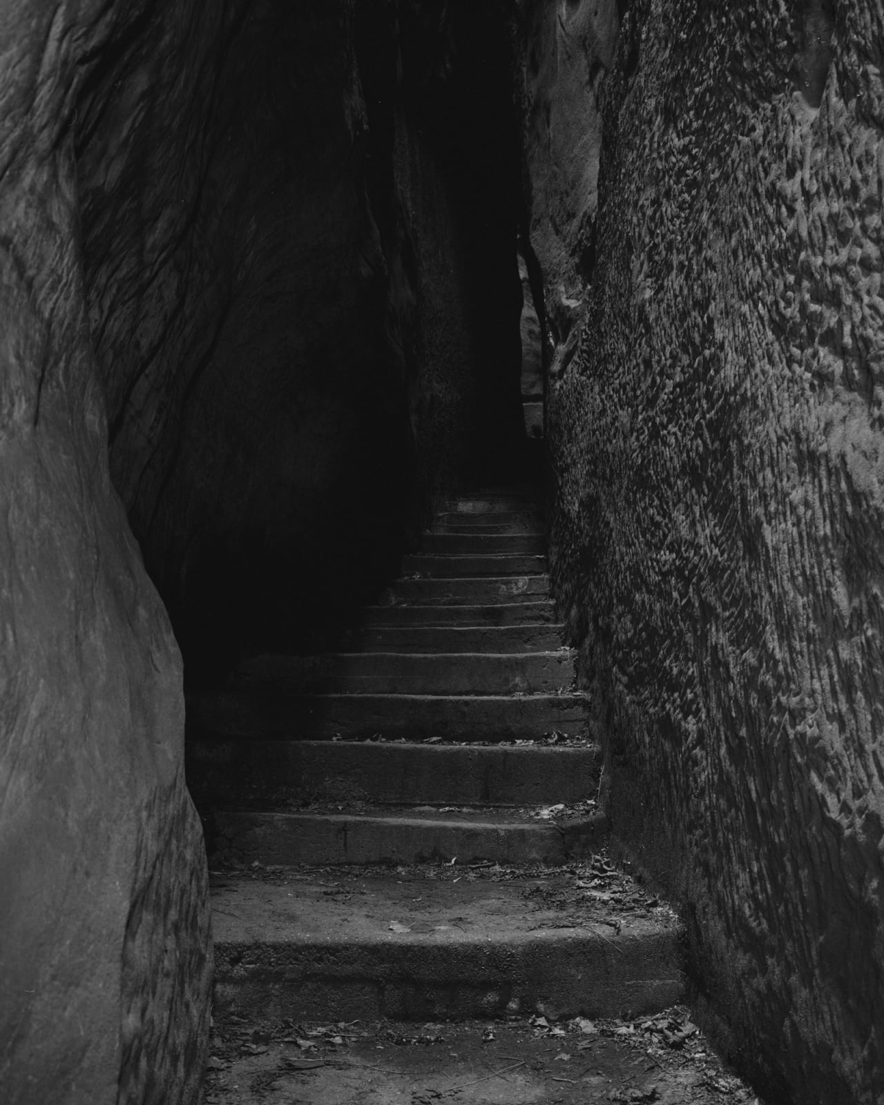 Tereza Zelenkova, Stairs, Cesky Raj, 2015