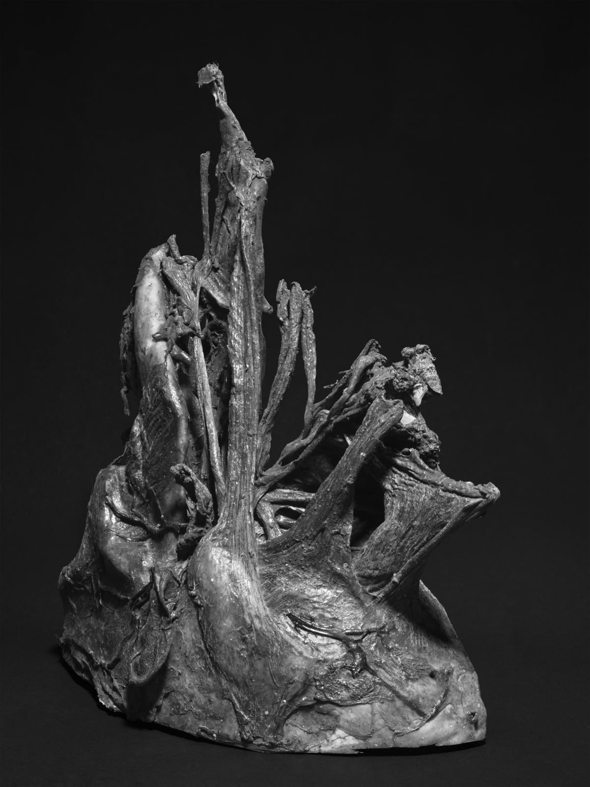 Koen Hauser, Tableau XII, 2015