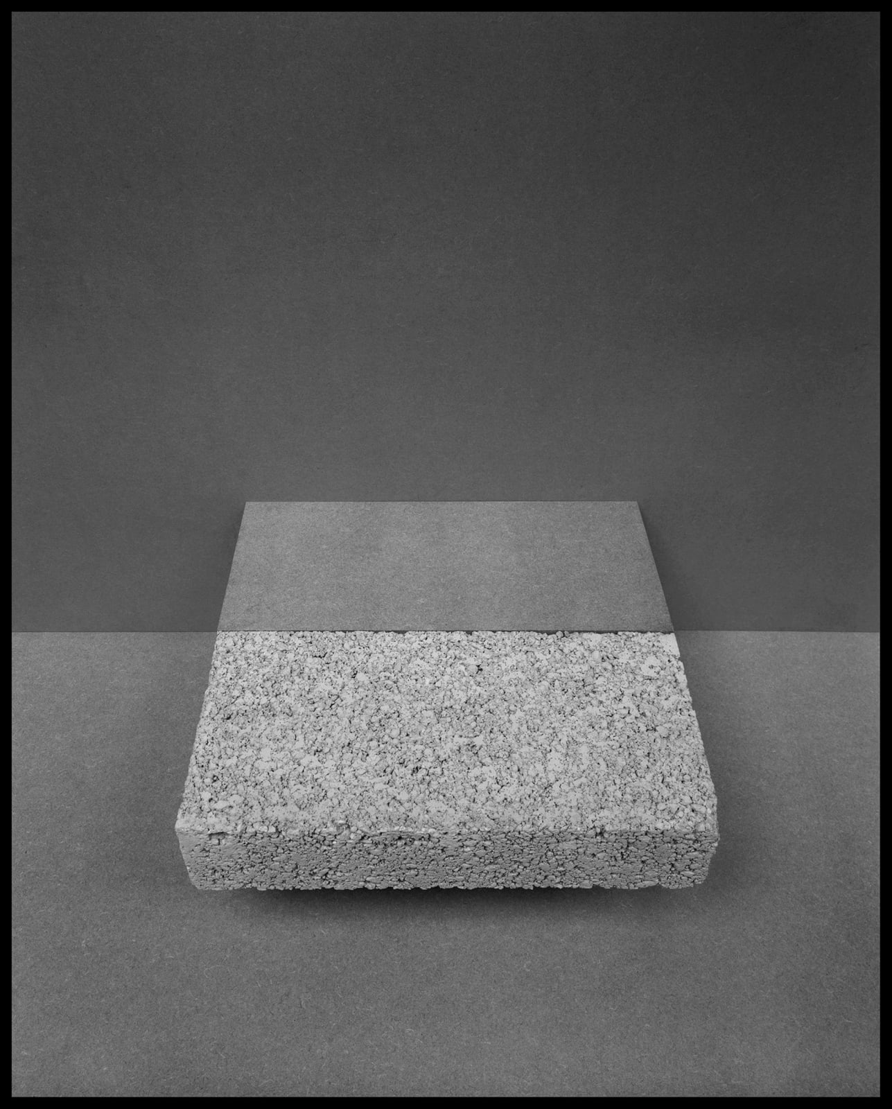 Darren Harvey-Regan, Metalepsis (fig. 12), 2013