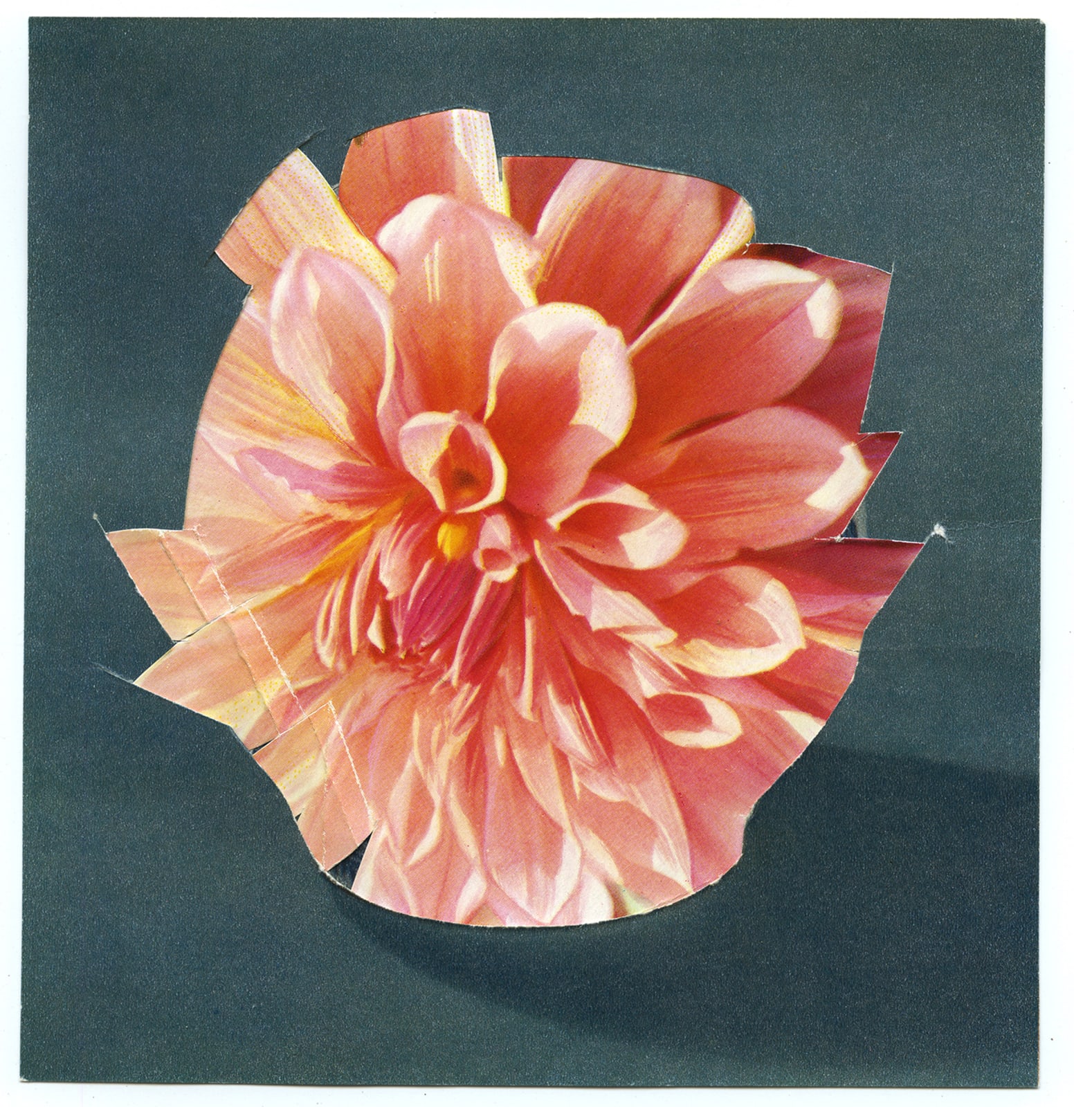 Ruth van Beek, Untitled (The Arrangement), 2012