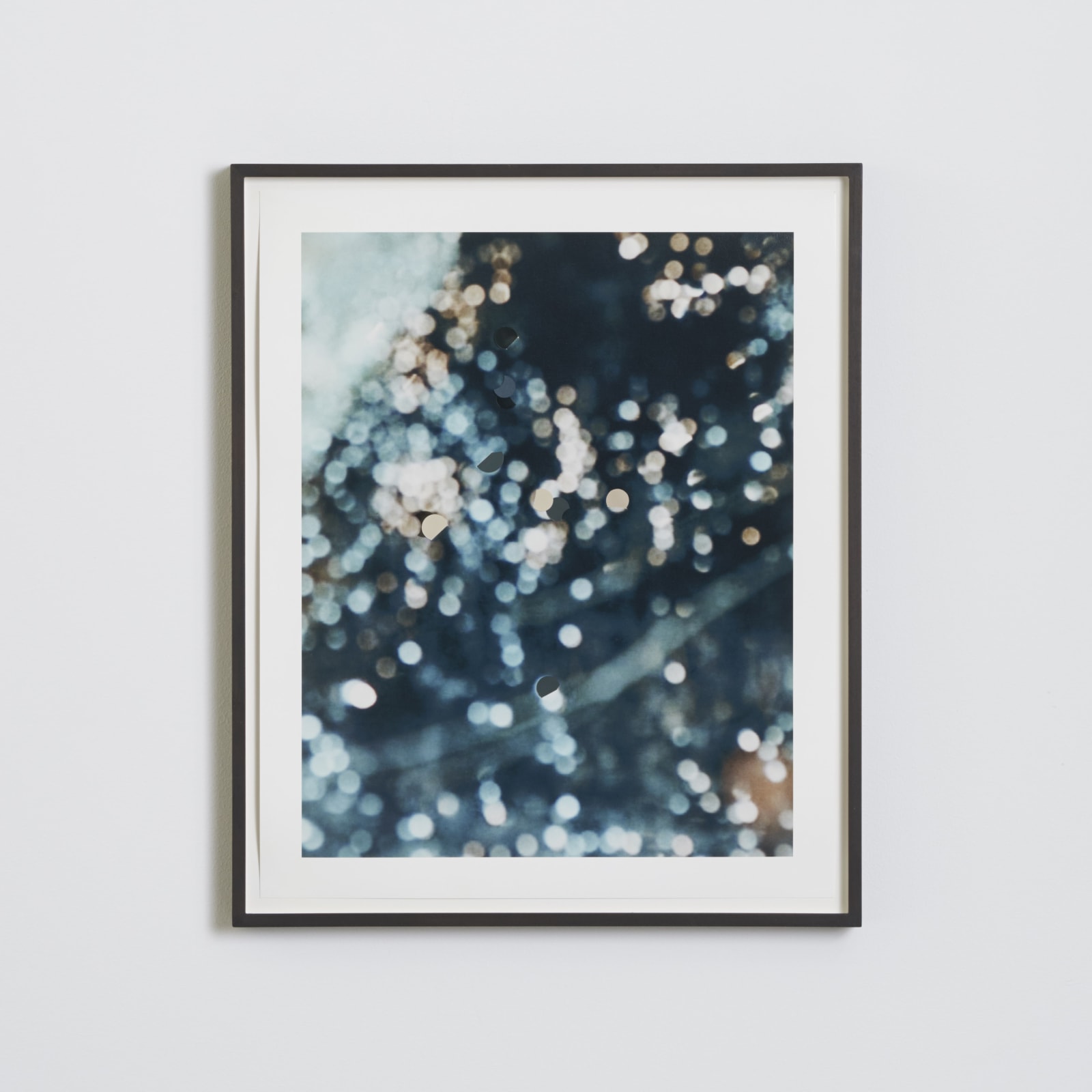 Martina Sauter, Retina I, 2018