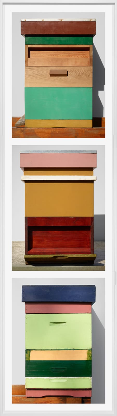 Scheltens & Abbenes, Beehives: Pink, Green & Blue, 2017