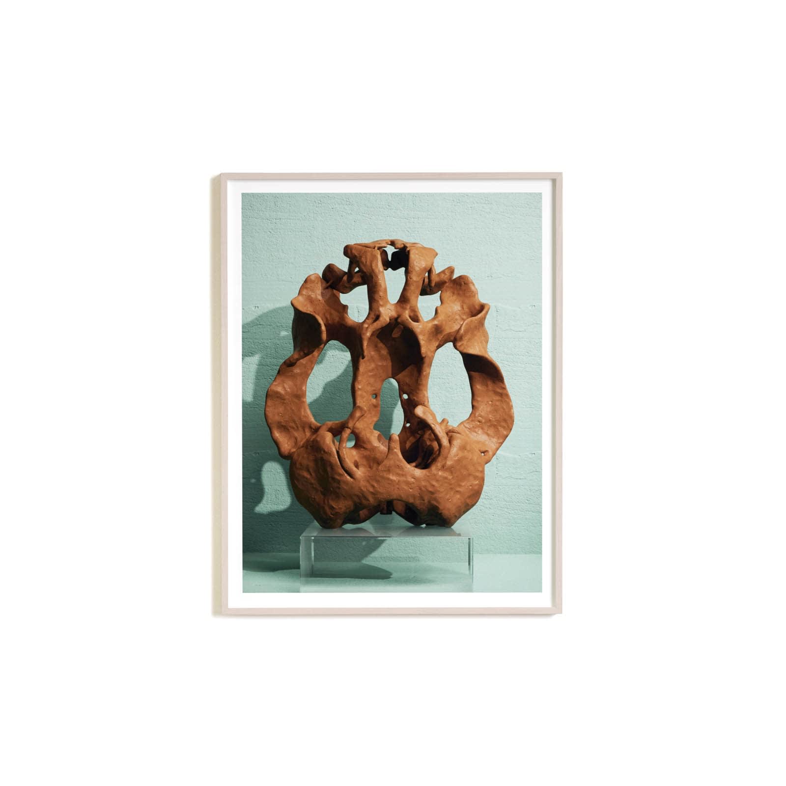 Koen Hauser, The Skull, 2019