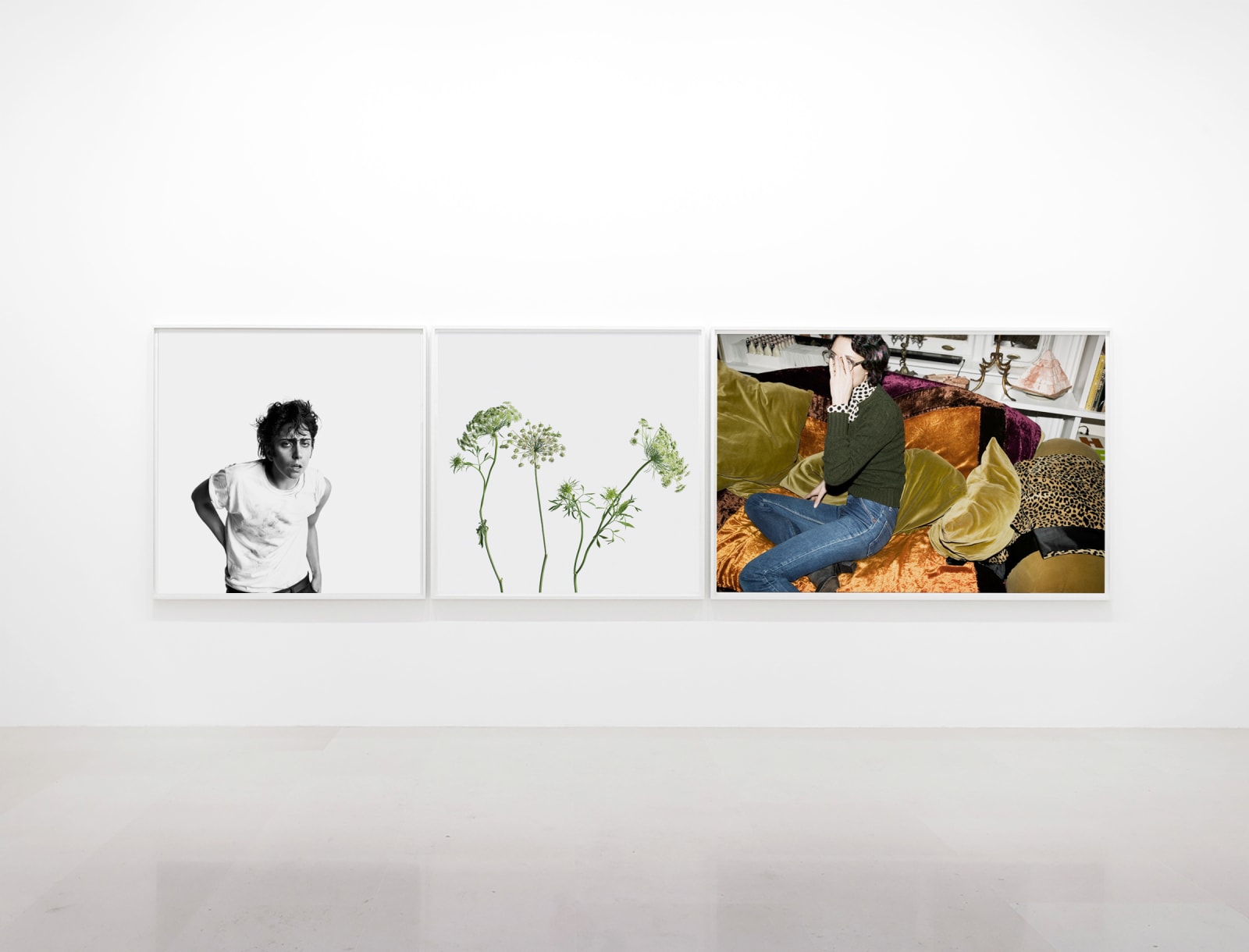 Inez & Vinoodh, 3 Queen Anne’s Lace, 2013