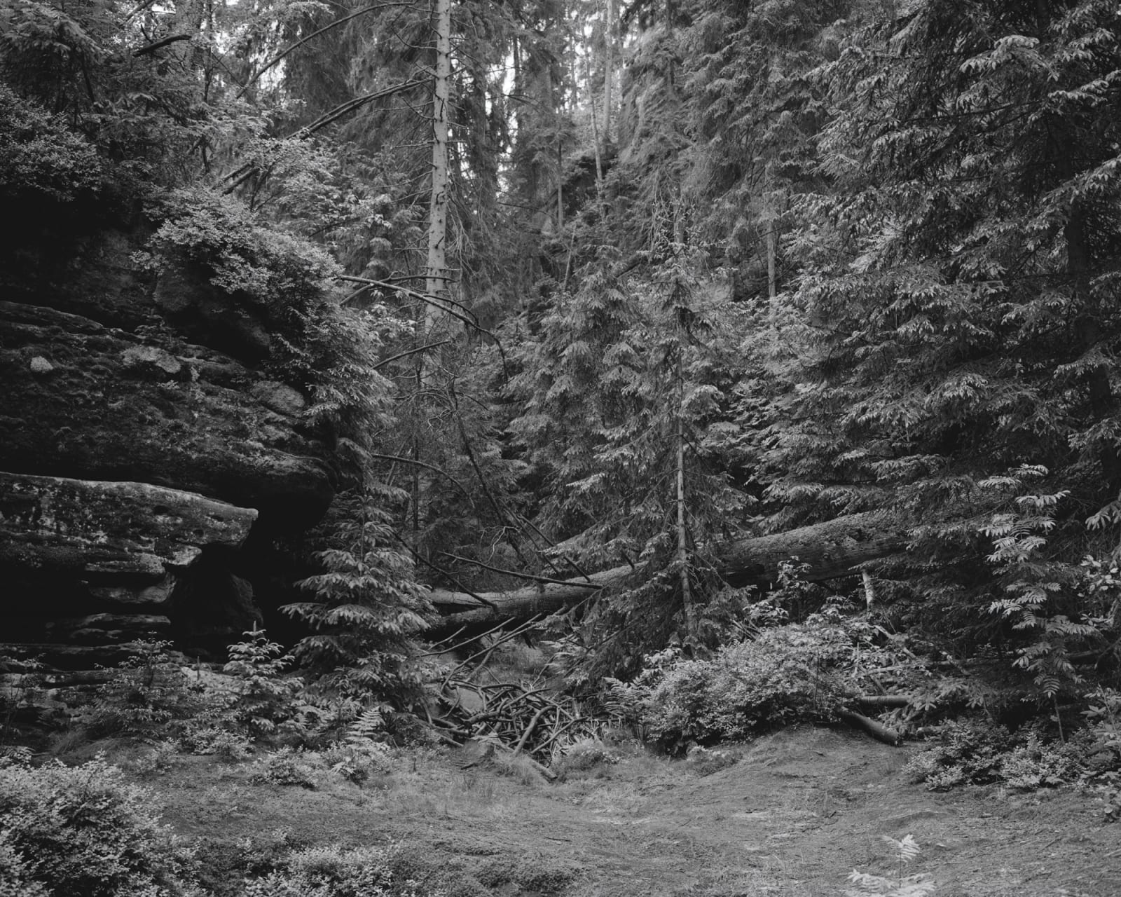 Tereza Zelenkova, Landscape, Aderšpach, 2015