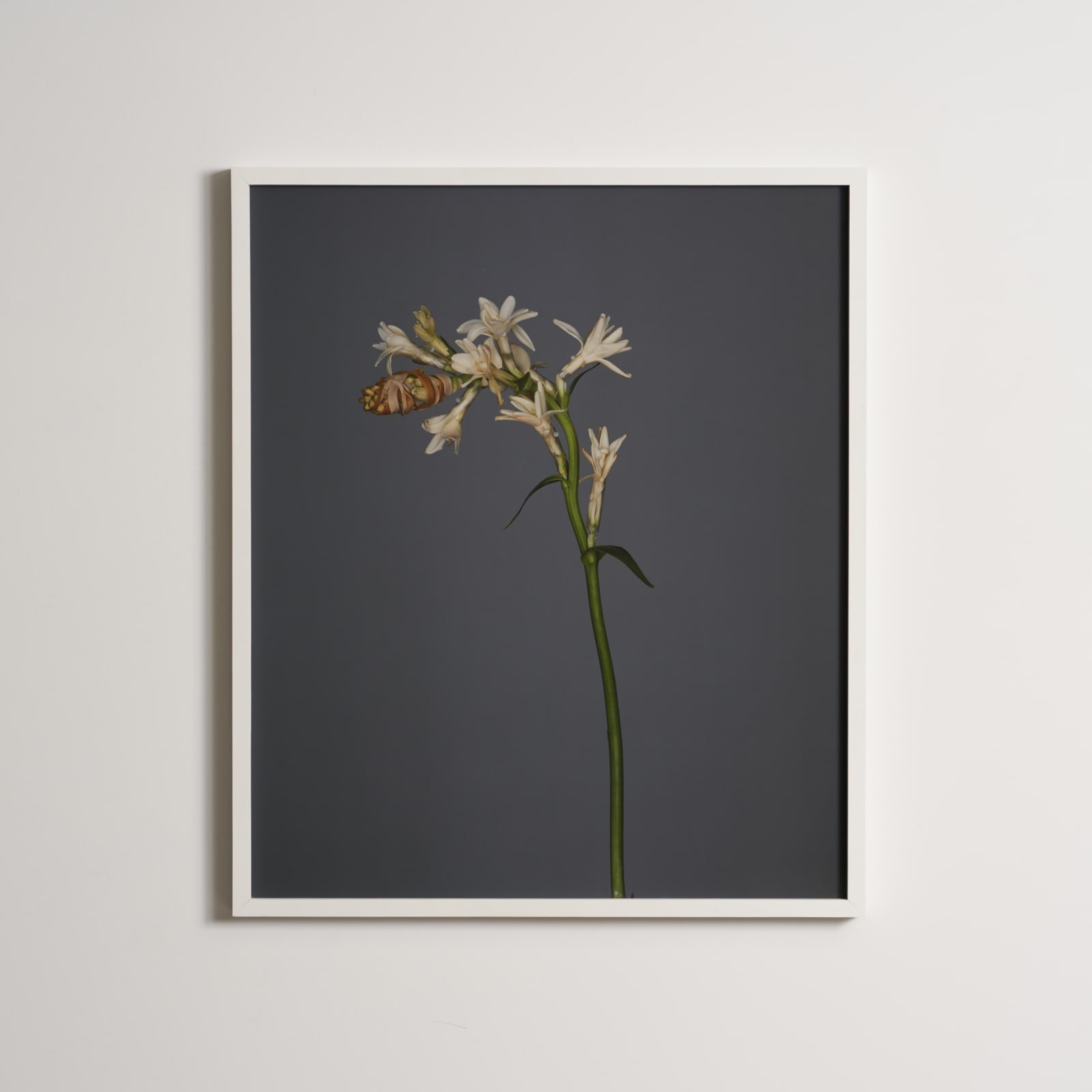 Bownik, Disassembly 6, 2013