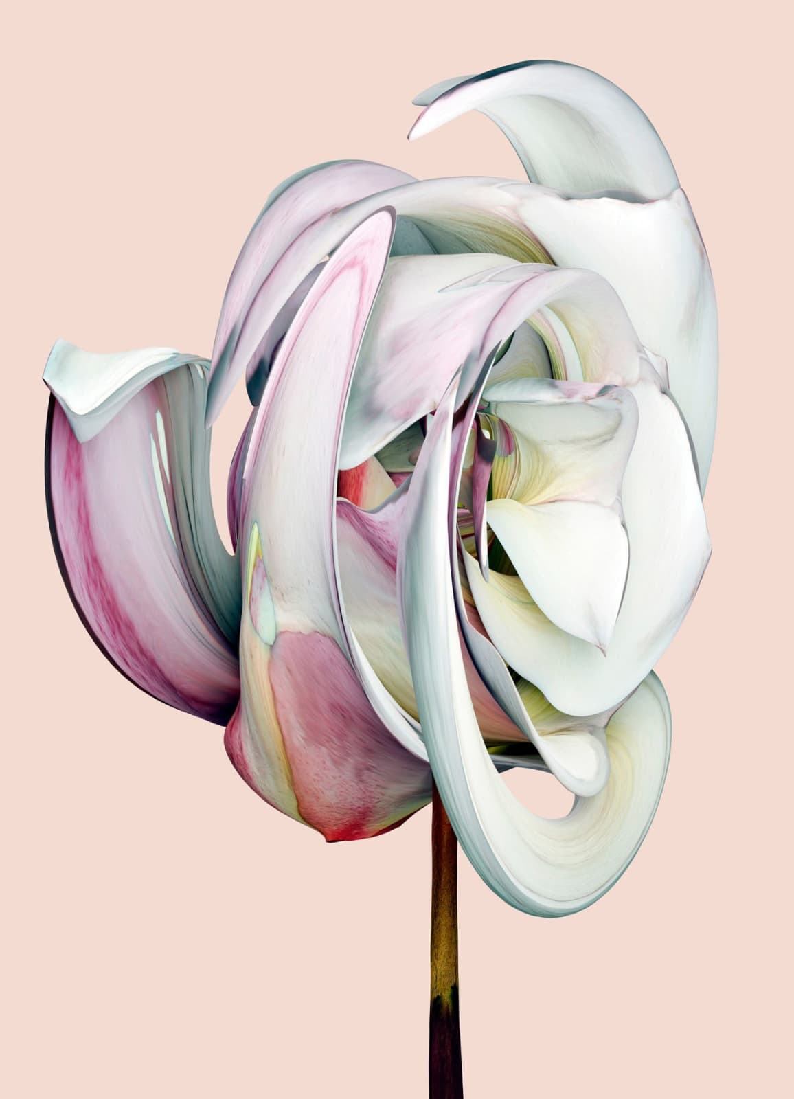 Vincent Fournier, Flora Incognita, 2022