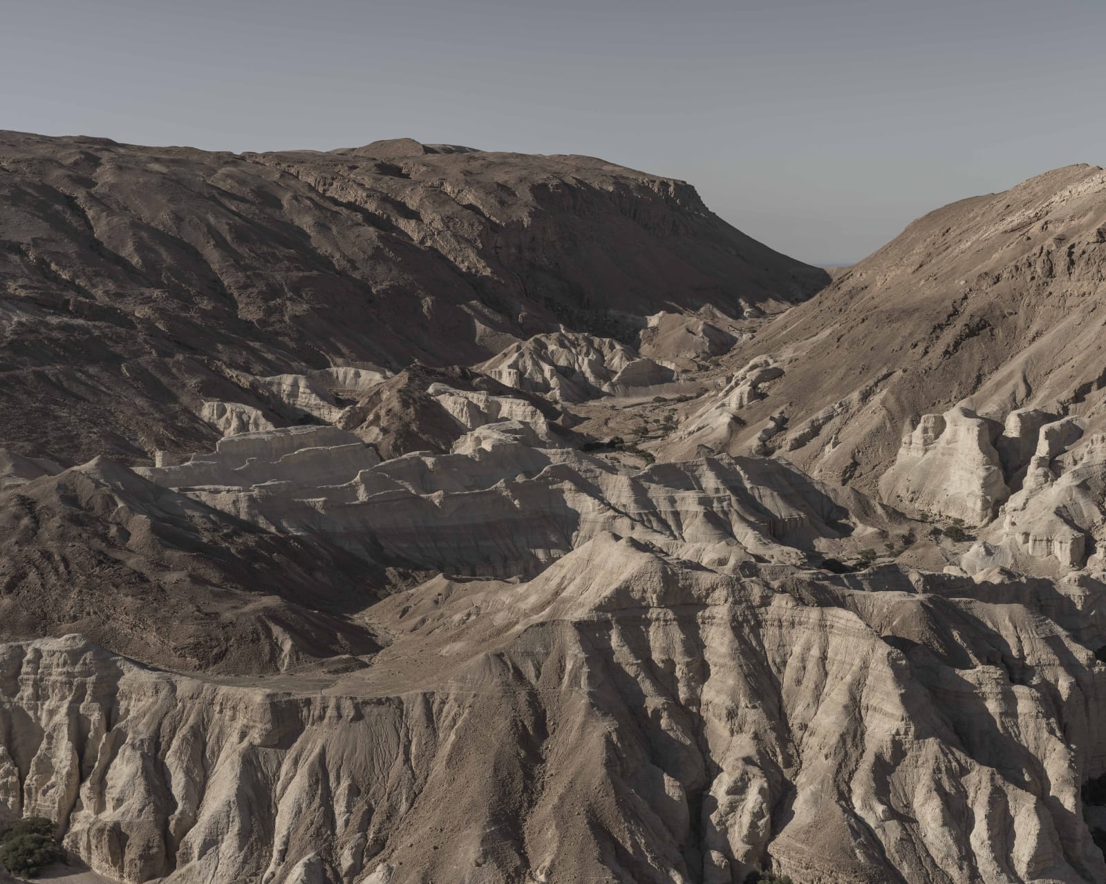 Jan Rosseel, Desert I, 2019