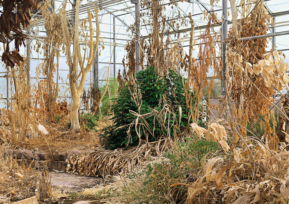 Vincent Fournier, Biosphere II, Greenhouse #3, University of Arizona, O 86 racle, U.S.A., 2009