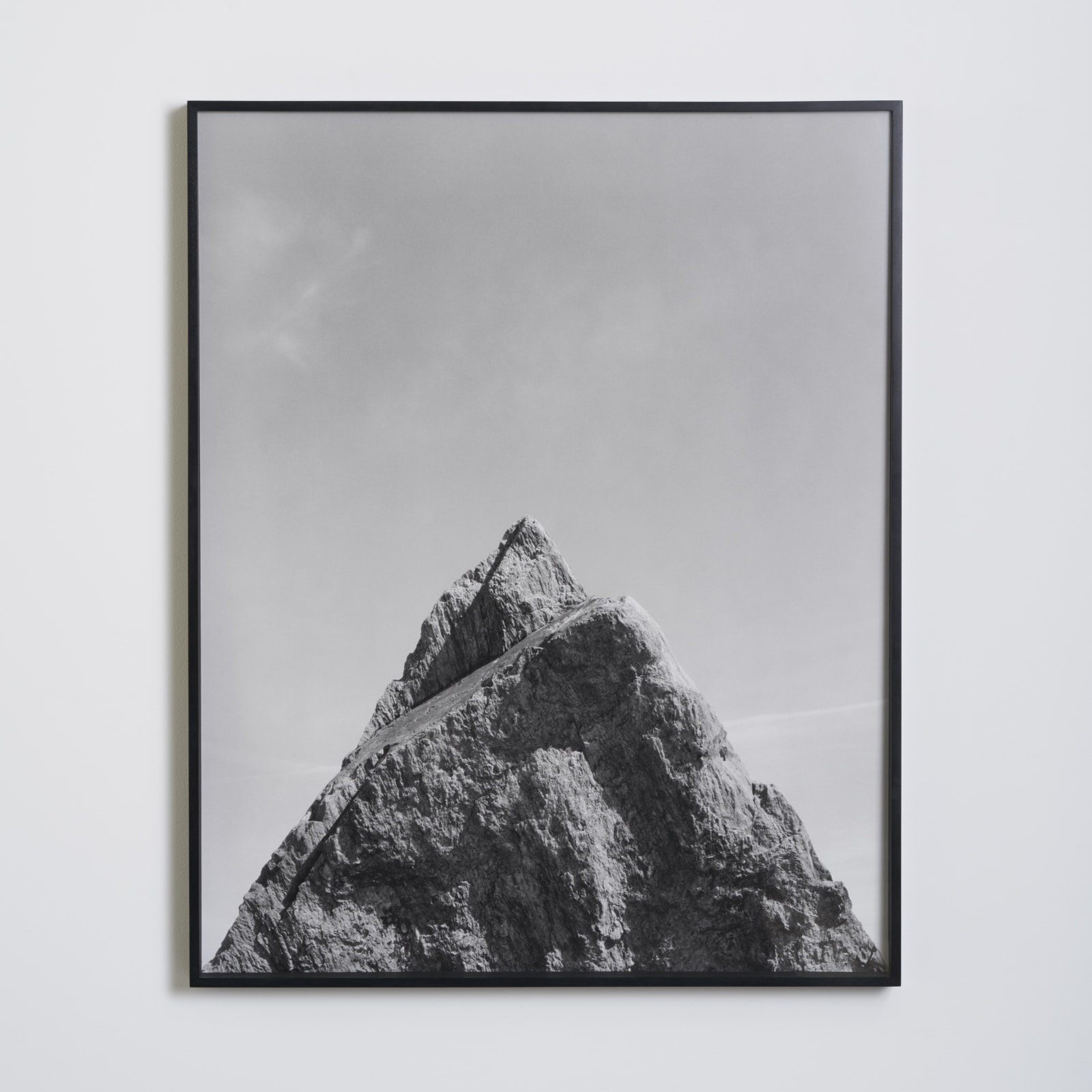 Darren Harvey-Regan, Metalepsis (fig. 4), 2013