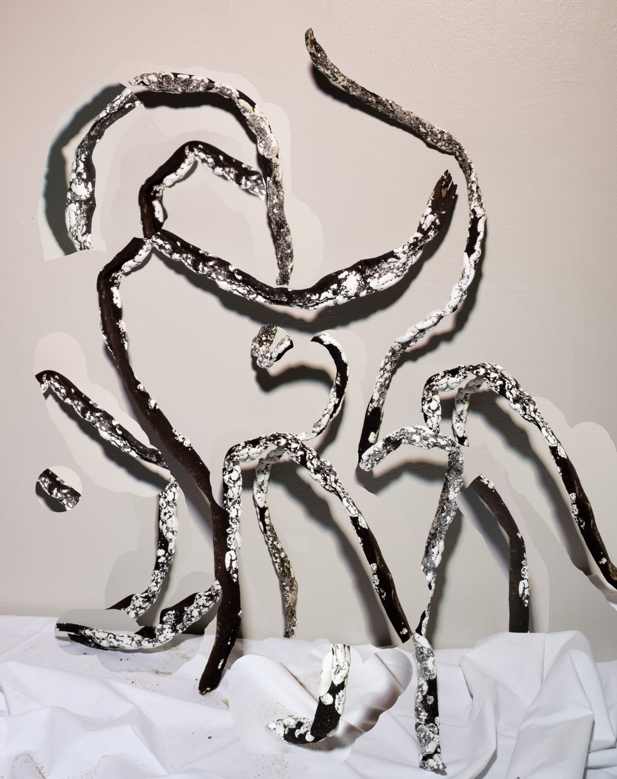 Nico Krijno, Composition with Kelp, 2018