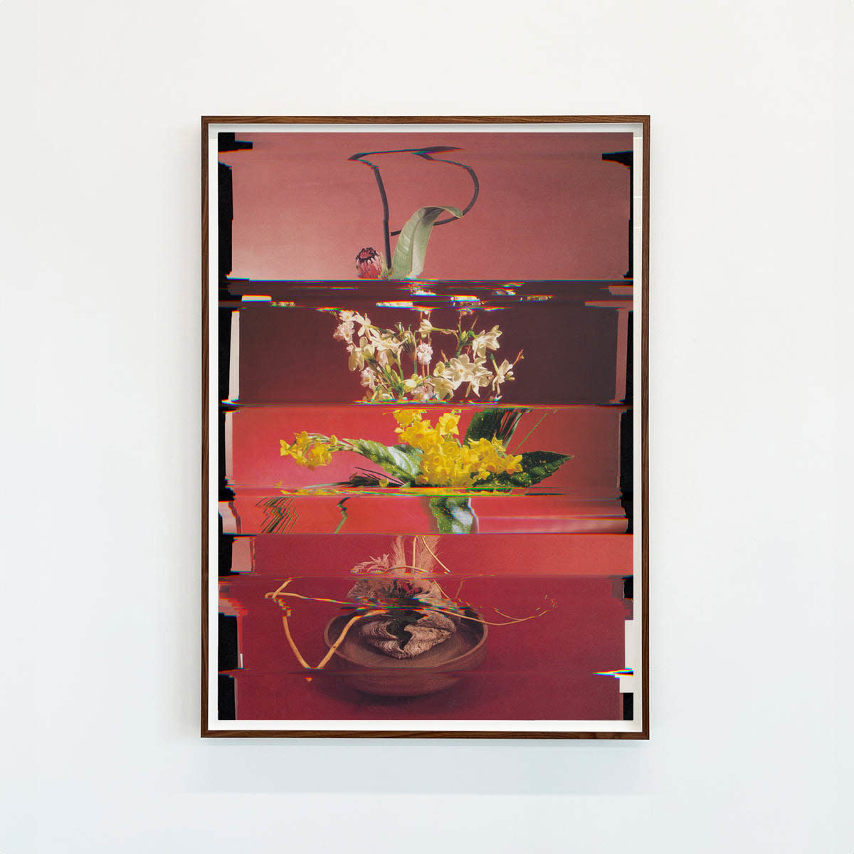 Nico Krijno, Lockdown Collage #122, 2020